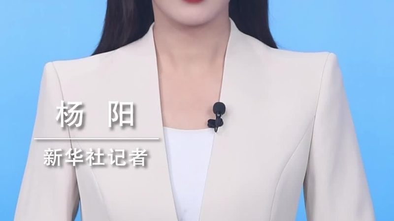 性能测试报告模板：企业IT决策者的实用指南**